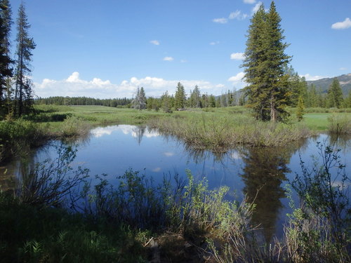 GDMBR: Beaver Ponds on a fork of the Snake River.